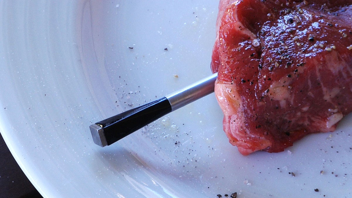 Apption Labs Meater review: This smart thermometer changed the way I grill