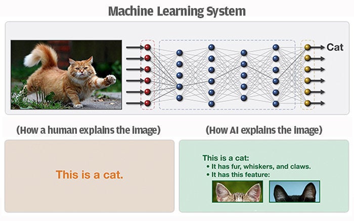 cat machine learning system chart darpa