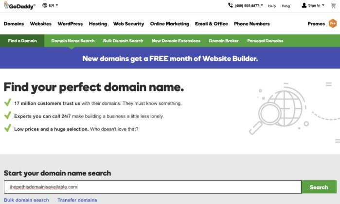 Domain Registration page on GoDaddy.com
