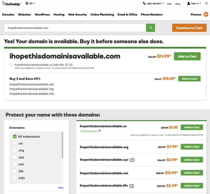 Domain Registration Verification Page on GoDaddy.com