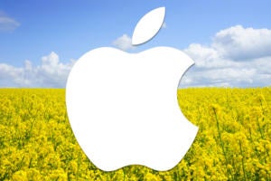 apple spring