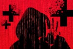 Feds wave red flag over Maui ransomware