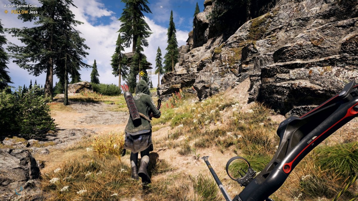 Far Cry 5 (PC)