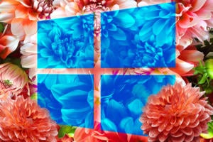 Windows 10 version 2004: Key enterprise features