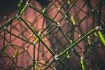 Using HashiCorp Consul on Azure Kubernetes Service