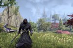 The Elder Scrolls Online's Summerset expansion doesn't shy from the dark sides of elves