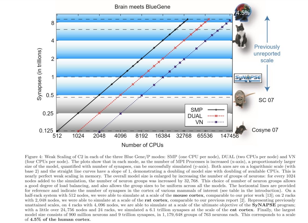 brain meets bluegene