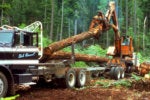 How to use logger on Linux