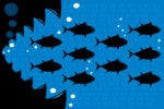 10 competitors Cisco just can’t kill off
