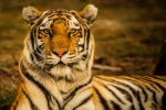 TigerGraph Cloud adds IAM capabilities
