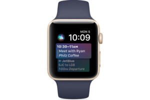 watchos siri watch face