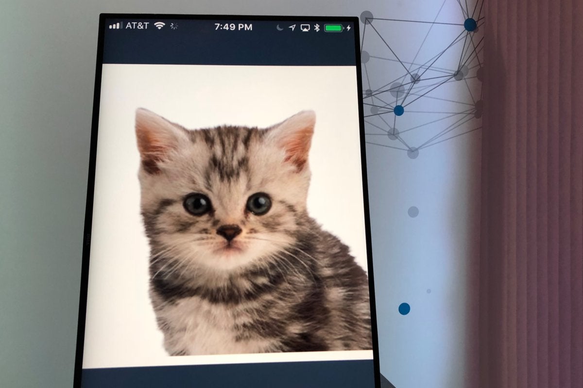 fintech intuit innovation lab chatbot kitten