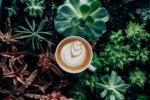 JavaFX 19 rich client Java platform arrives