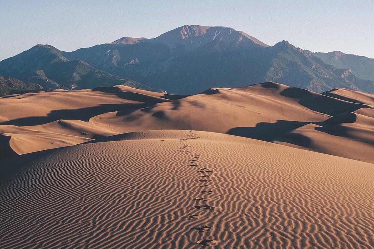 Why has Apple put Mac users in the Mojave desert