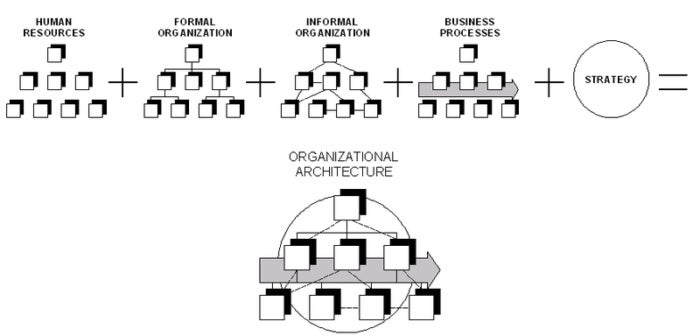 organizational architecture