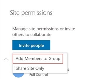 add group members from team site