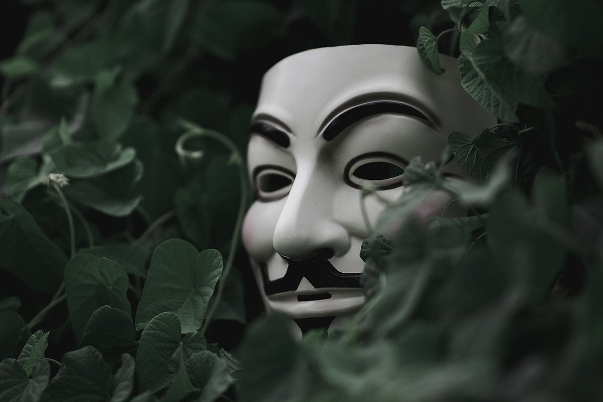 Guy Fawkes mask hidden in landscape / Anonymous / hacker / protest