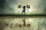 Emerging technology adoption: striking a balance between innovation and risk management