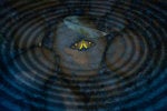 Venerable Linux distro Slackware comes back to life