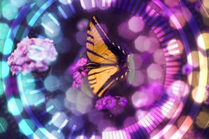 digital transformation / butterfly at the center of a digital interface
