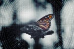 Digital transformation is more than a slogan