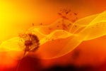6 tips for surviving digital disruption in 2020