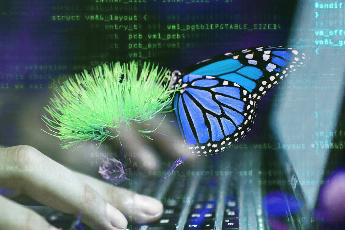 digital transformation butterfly keyboard programmer code  by sean stratton unsplash
