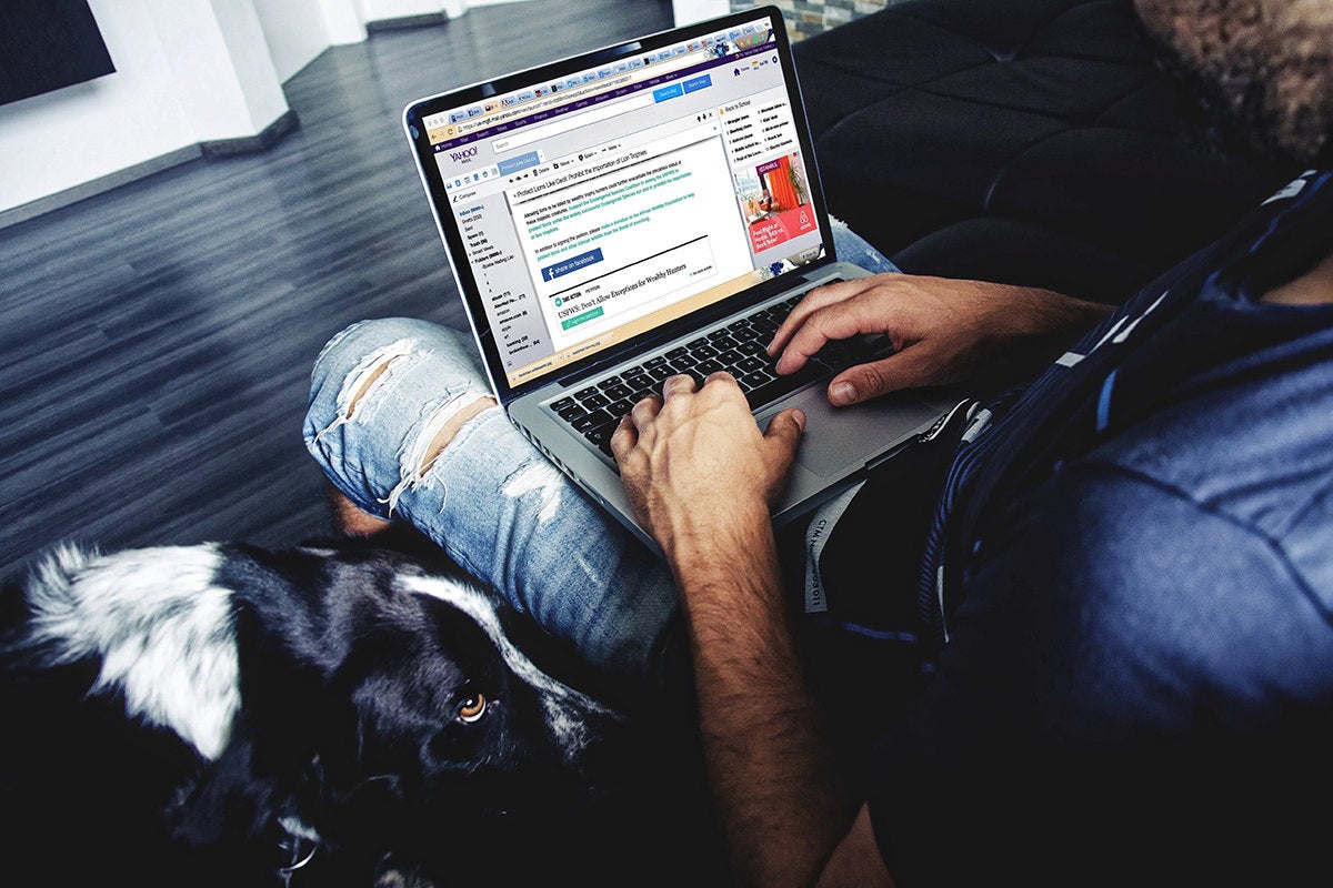 A man reads email on his laptop beside a dog. / digital nomad / remote worker / mobile computing