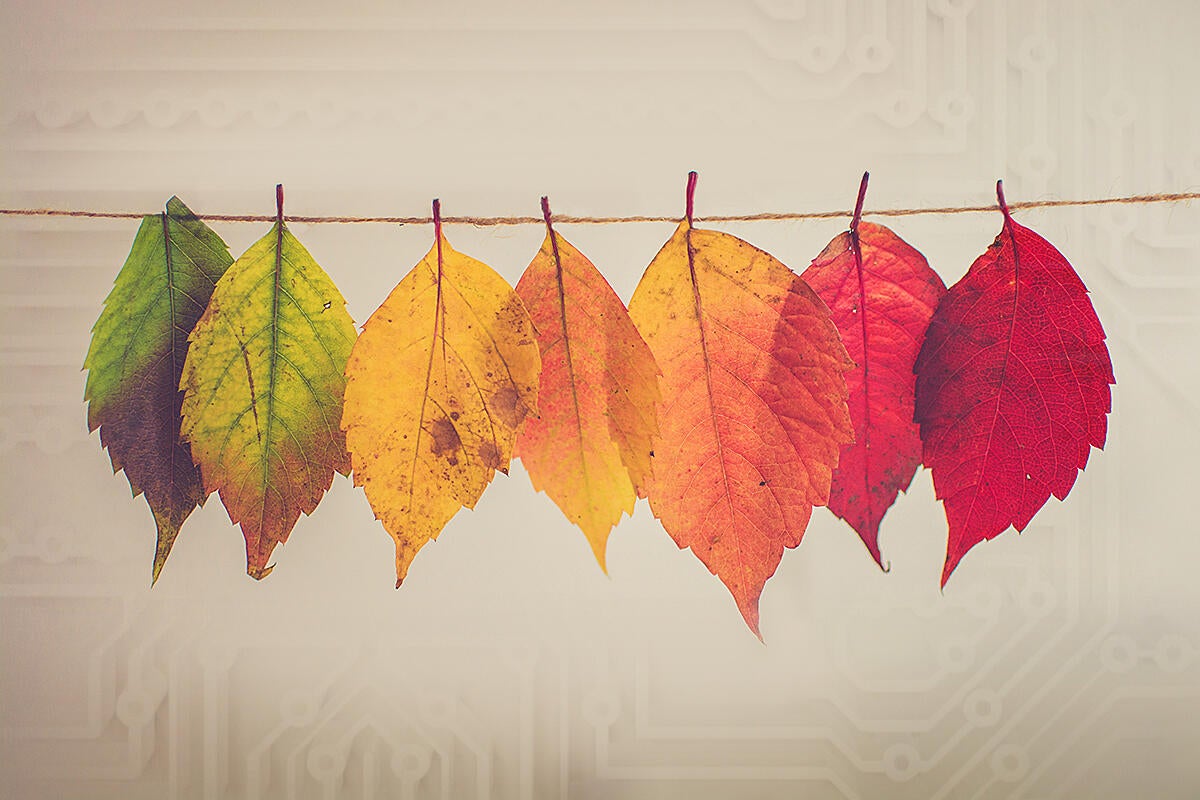 Image: Lexmark retools, reskills for data transformation