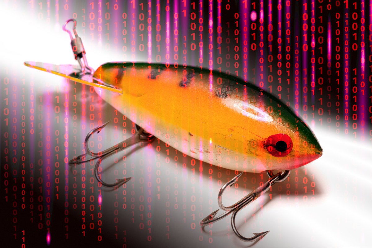 phishing fishing lure bait binary hack security breach