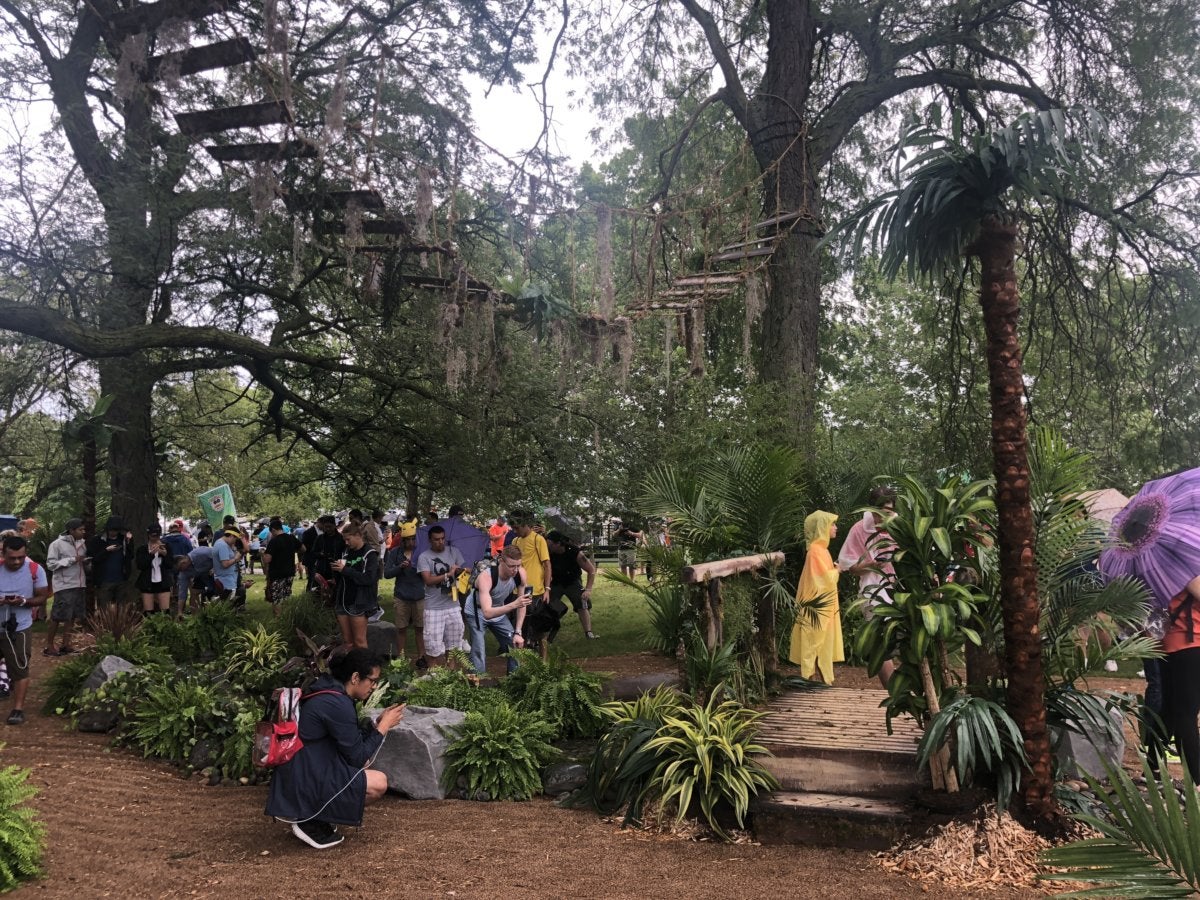pokemon 2018 jungle