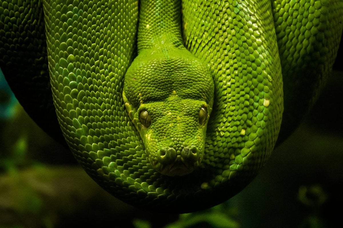 Python gotchas: Solving Python virtualenv and venv