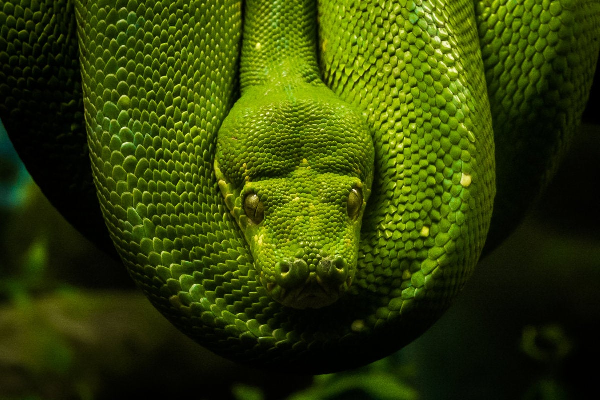 Python Virtualenv And Venv Do s And Don ts InfoWorld