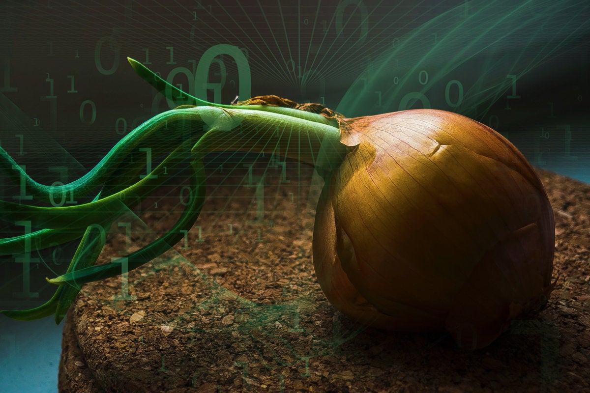 dark web onion tor