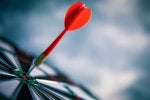 Finding the ideal board readiness program (and why you need one)