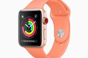 apple watch activity rings