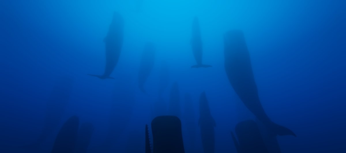 Save the whale: Docker rightfully shuns standardization