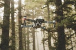 Neural computing should be based on insect brains, not human ones