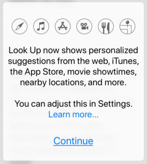 ios look up settings