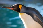 An introduction to WSL 2