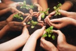 succession planning grow nurture cultivate share hands diversity collaboration