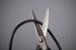 Cord-cutting in 2019: What to expect in a pivotal year