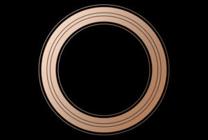 mac safari sep12 event round logo