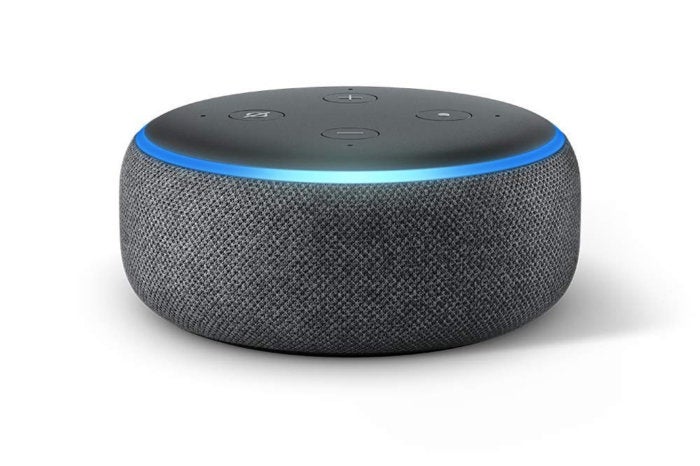 echo dot security system