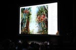 Adobe Photoshop turns 30, now much smarter