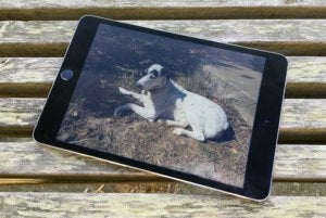 ipad mini