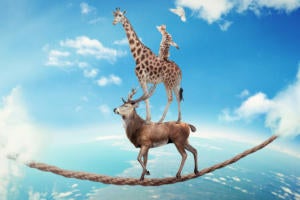 Embracing risk management elevates security pros to business leaders. Why do they still find it so difficult?