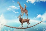 Embracing risk management elevates security pros to business leaders. Why do they still find it so difficult?
