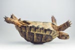 Why are most organizations late to change?