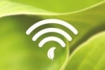 Discover a New Way to Save: Green Aps